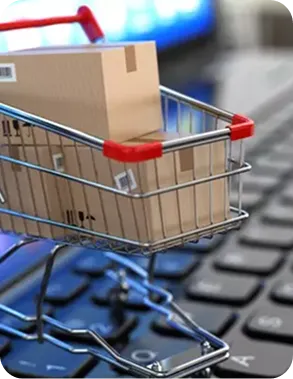 B2C E-Commerce Stores